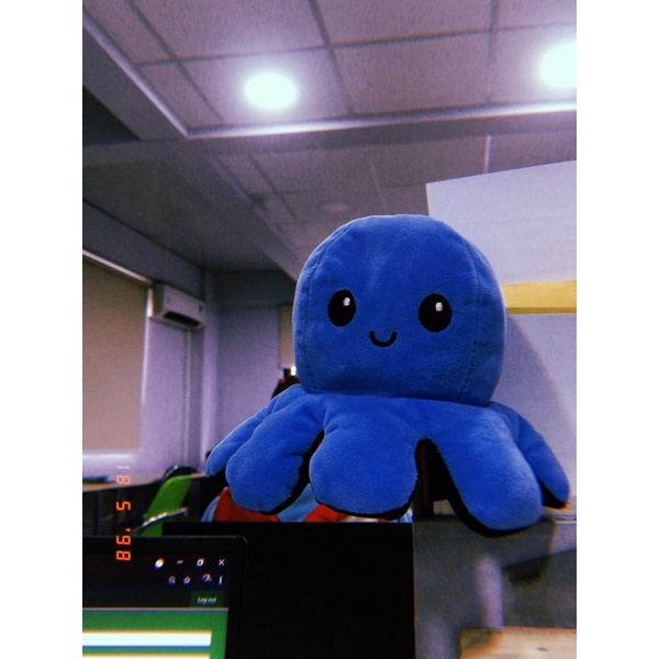 Gấu bạch tuột