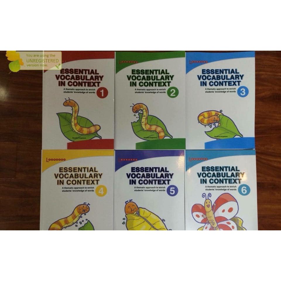 Essential Vocabulary in Context