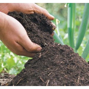 Vi Sinh Ủ Phân Hữu Cơ - EcoClean Compost - Chính Hãng từ Mỹ