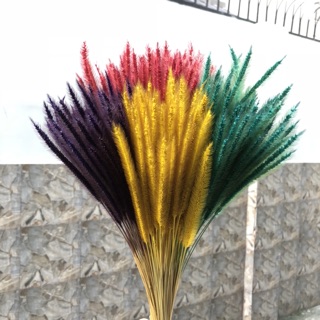 Cỏ Đuôi Chồn Khô Trang Trí