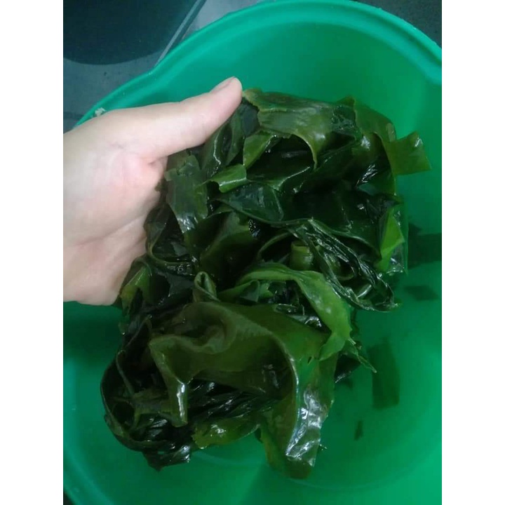 Rong biển khô Daesang nấu canh Hàn Quốc 25gr