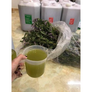 Mật ong Bạc Hà _ đặc sản vùng cao