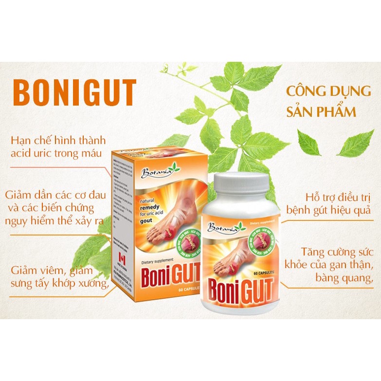 BONIGUT  - Viên uống hỗ trợ tốt cho người bệnh gút.
