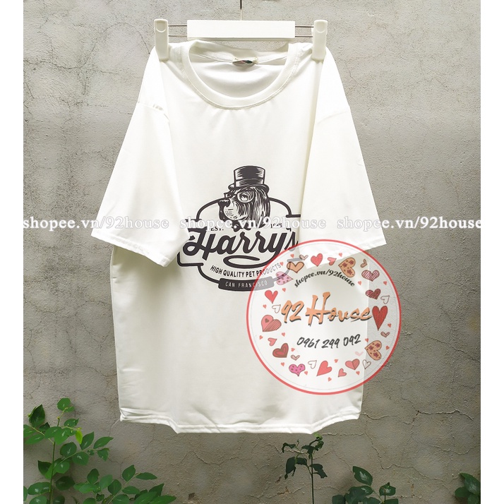 Áo thun nam nữ phông rộng / Áo phông unisex tay lỡ chó thám tử