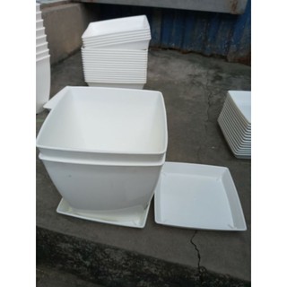 Chậu nhựa vuông 16cm tặng đĩa hứng nước