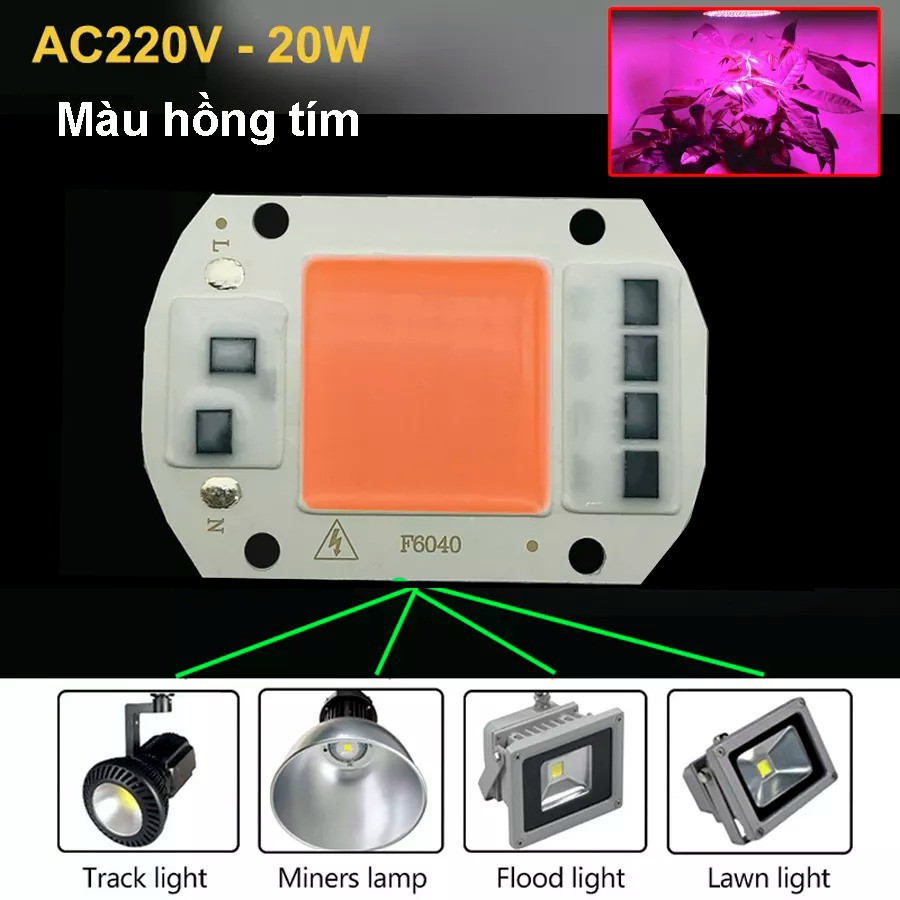 chip LED quang phổ toàn phần trồng cây công suất 20w