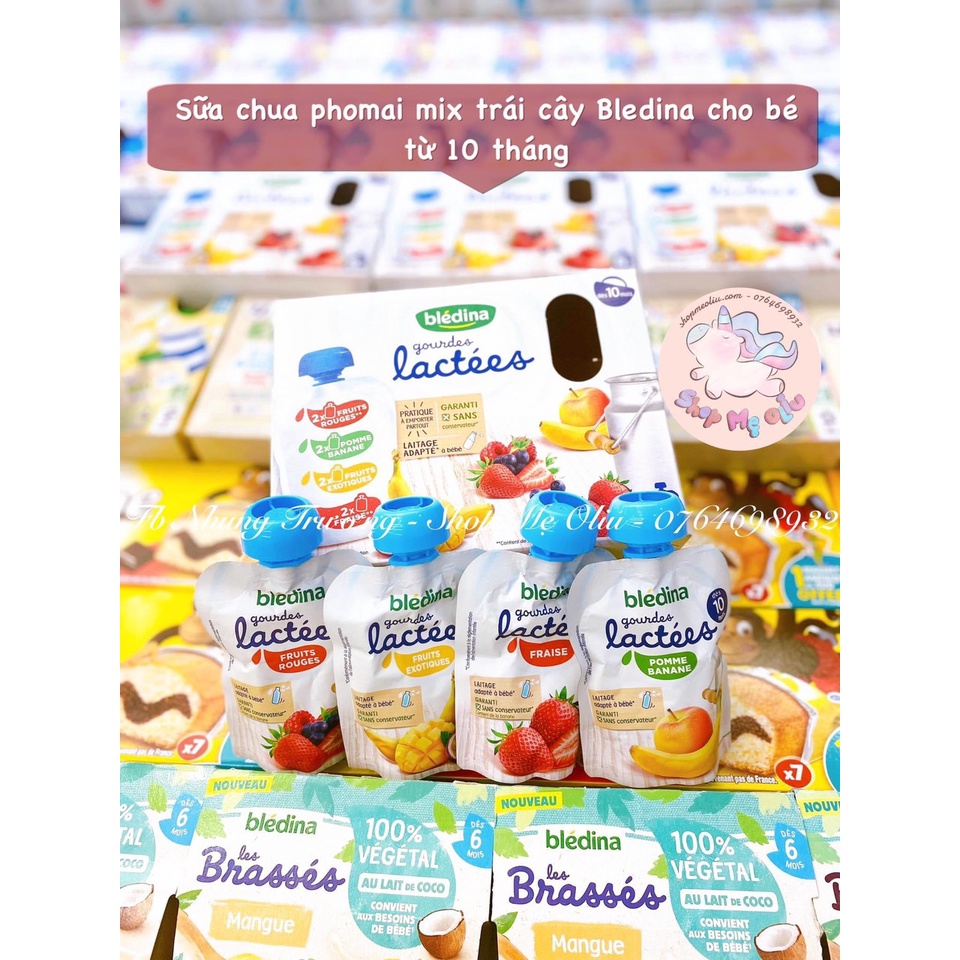 Sữa chua phomai mix trái cây Bledina Gourde Lactee dạng túi dành cho bé từ 10 tháng