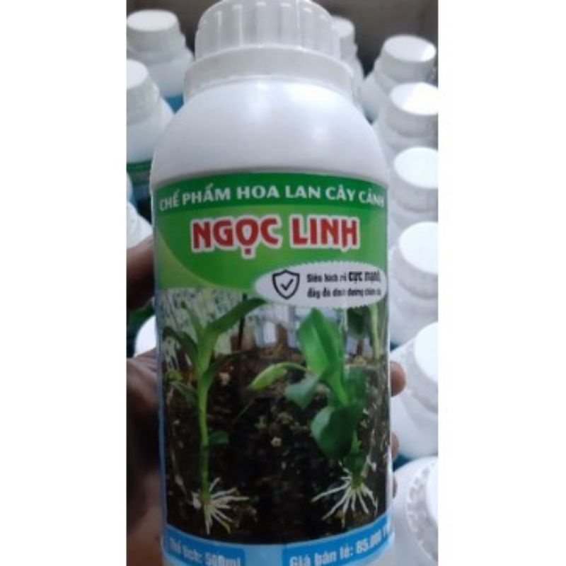 KÍCH RỄ HOA LAN CÂY CẢNH NGỌC LINH A9 VIP- CHẾ PHẨM KÍCH RỄ Ngọc LINH CHAI 250ML