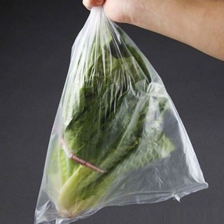 Combo 2 Túi Đựng Thực Phẩm Ringo 25 x 35cm