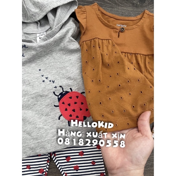 B418 - Bộ carter da cá quần legging bé gái