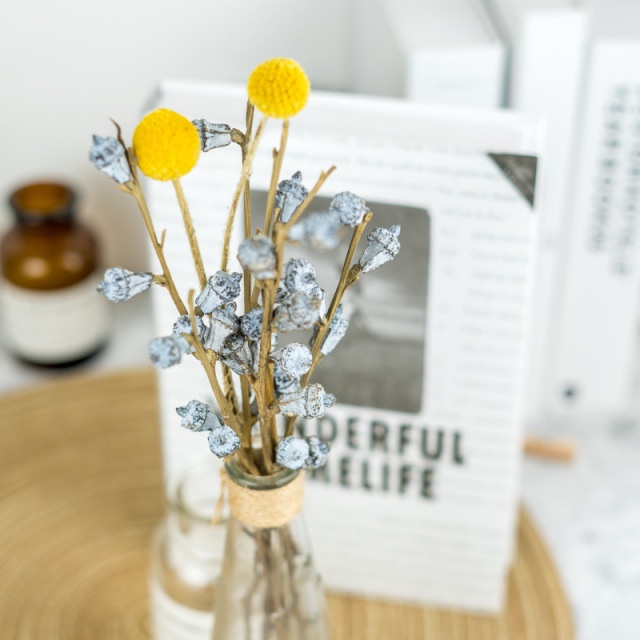 1 nhánh hoa bạch đàn khô thơm, dùng để chụp ảnh sản phẩm hoặc trang trí shop, decor quán cafe