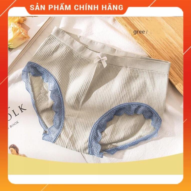 Quần Lót Cotton Thông Hơi Co Giãn 4 Chiều Sợi Bông Viền Ren Cao Cấp 3312
