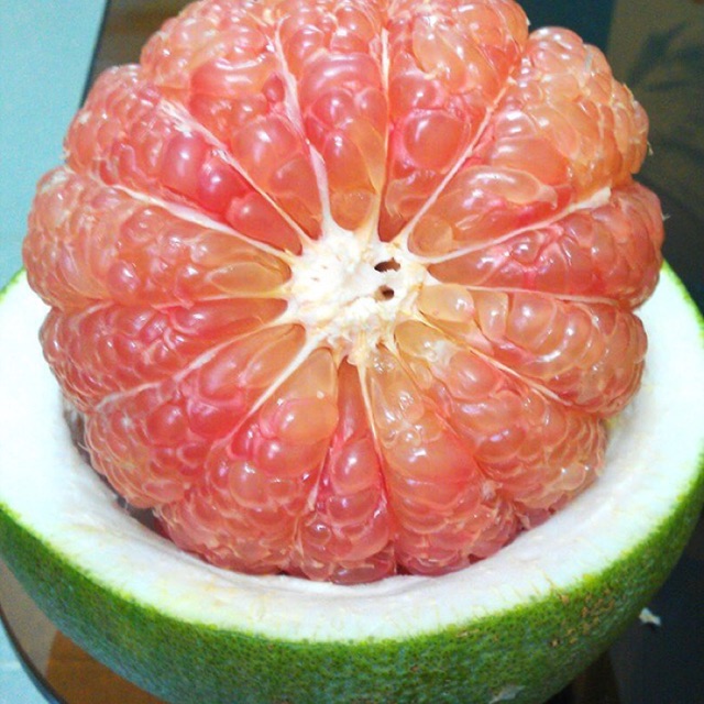 Cây giống Bưởi Da Xanh