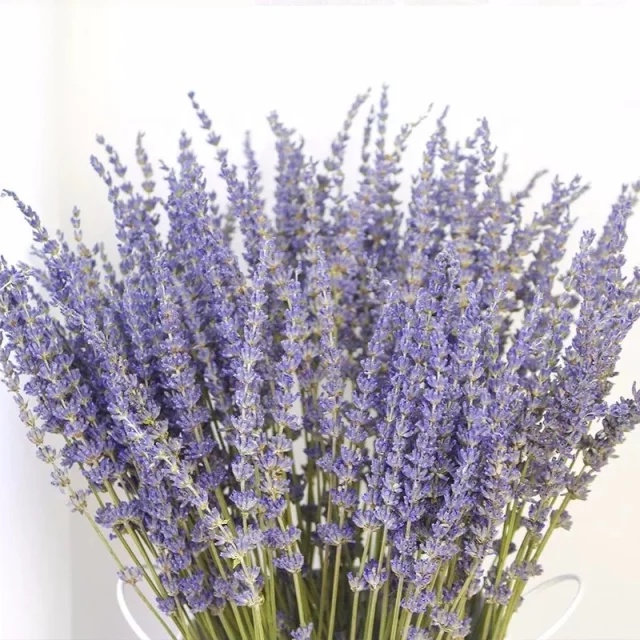 Bó hoa Lavender khô