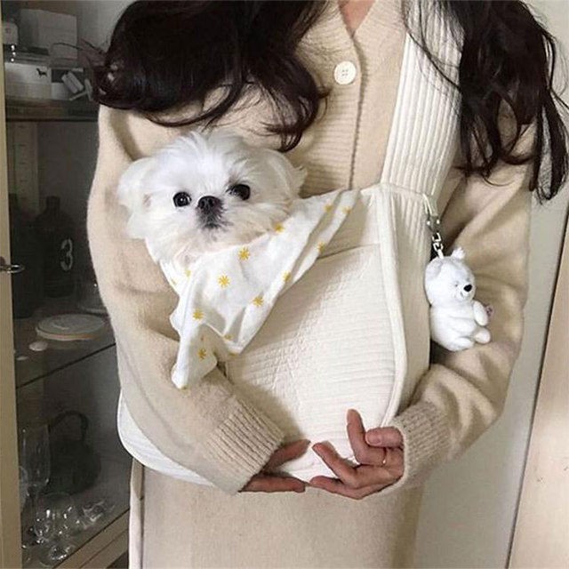 ✴☞✿Thú cưng đi chơi xách tay vải canvas túi chó dễ thương mèo Teddy Pomeranian lùn Mỹ ngắn nhỏ và nói chung <