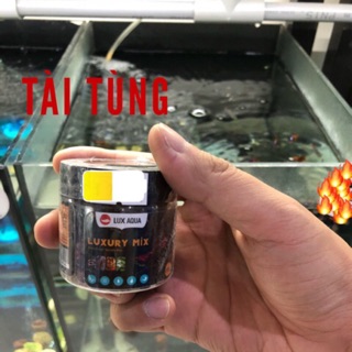 Thức ăn dính hồ cho cá cảnh