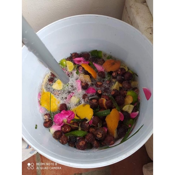 1 LÍT EMZYME BỒ HÒN NHÀ LÀM DÙNG ĐỂ TẨY RỬA ,LAU SÀN, RỬA BÁT, RỬA BÌNH SỮA- KHÔNG HOÁ CHẤT KHÔNG CHẤT TẠO BỌT