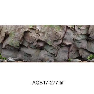 Tranh 3d dán bể cá ( kt 50 - 60 - 70 - 80 - 90 - 100 - 120 - 150cm...)