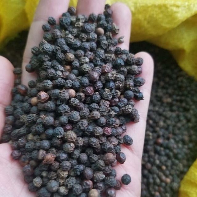 100g Hạt tiêu đen ĐakNong