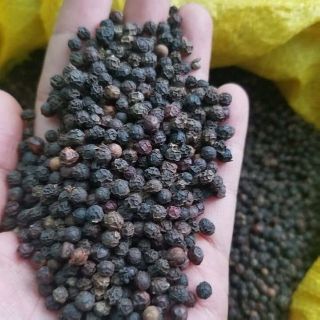 100g Hạt tiêu đen ĐakNong