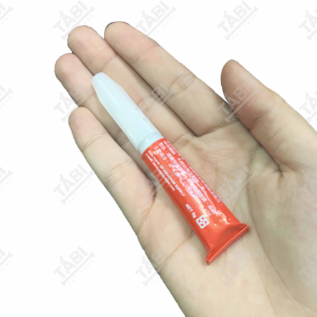 Keo Dán Rêu Cây Thuỷ Sinh ADHESIVE 5g - Keo Dán Cây Thuỷ Sinh. [KEO DÁN ĐỎ]