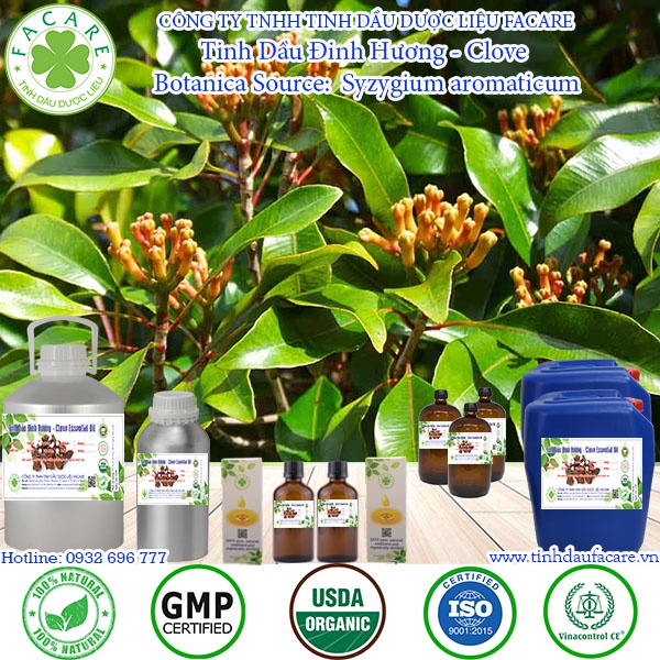 Tinh dầu Đinh Hương Clove essential oil giúp làm giảm căng thẳng, ổn định huyết áp - 10ml/50ml/100ml