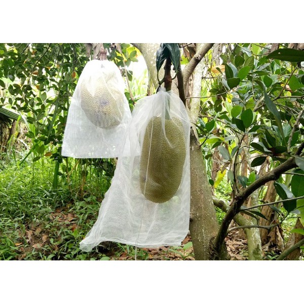 SET 10 Túi bọc Mít Thái KT 45x60 cm, vải không dệt (PE ) - Túi bọc trái cây chuyên dùng bọc trái mít Thái