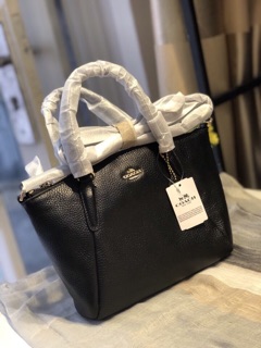 🆘RẺ VÔ ĐỊCH🆘( 3 màu) Túi Coach da mềm