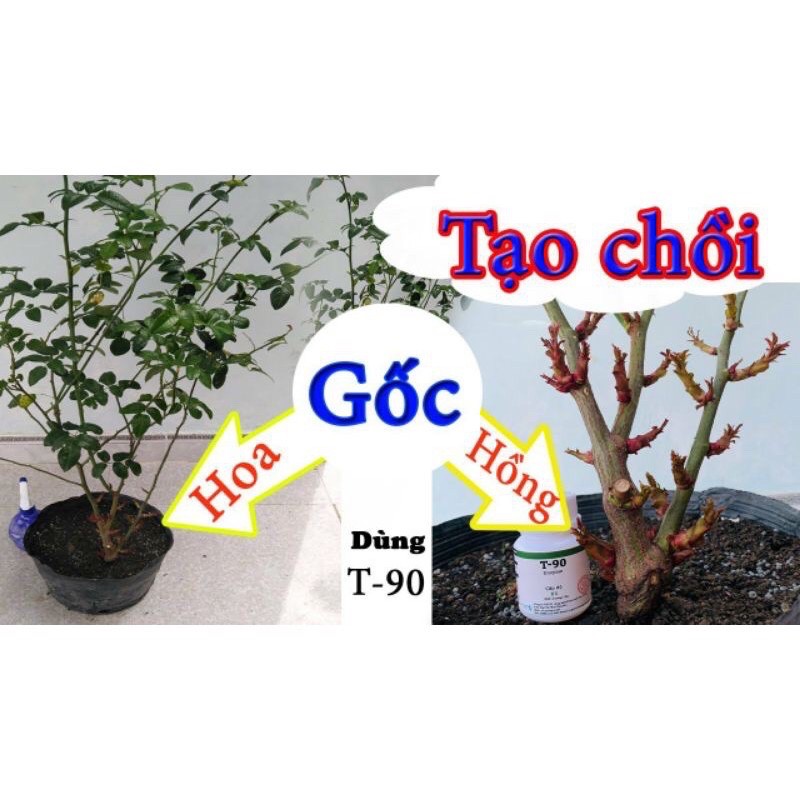 Siêu kích mầm T90 / chuyên dùng cho Hoa Hồng, Mai, Phong Lan