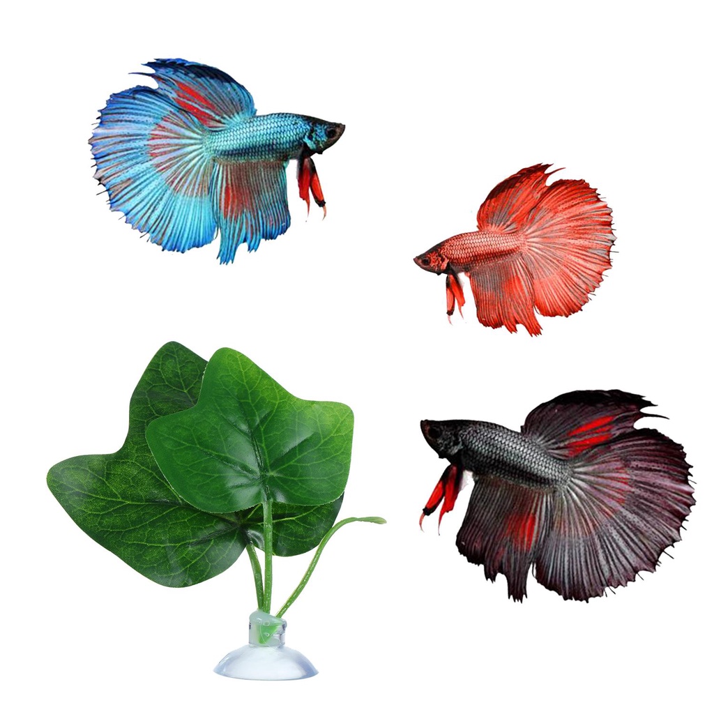 FOREVER Lá Cây Giả Trang Trí Mới