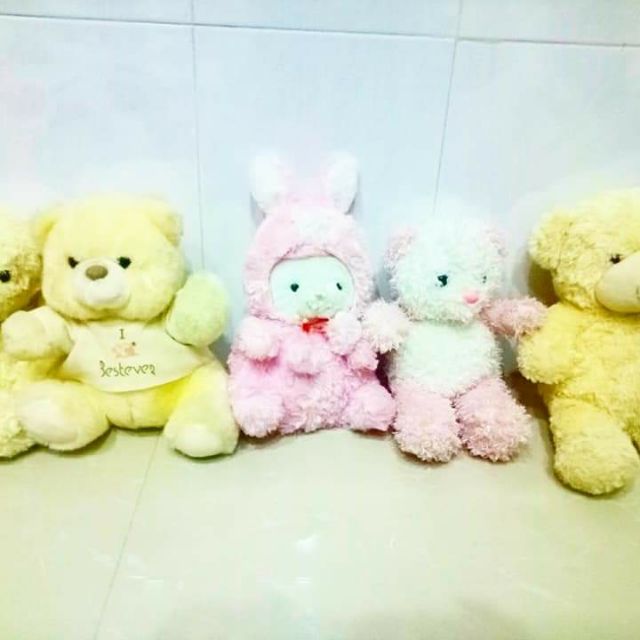 Gấu bông của quyên lam