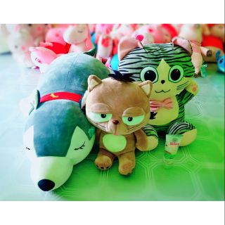 Thú Nhồi bông miniso cao cấp