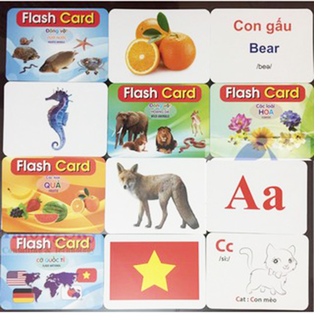 Bộ Thẻ Học Thông Minh Song Ngữ Loại To 19 Chủ Đề Phát Triển Tư Duy Cho Bé