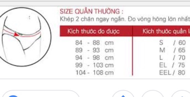 Quần lót Triumph Sloggi shine mini