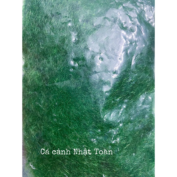 GÓI RÊU GIẢ TRANG TRÍ TIỂU CẢNH GÓI 30G