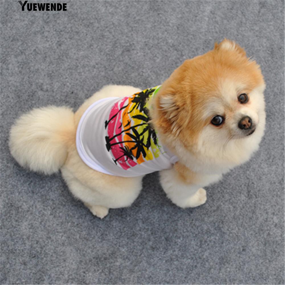 Áo thun cộc tay in hình cây dừa cho cún cưng