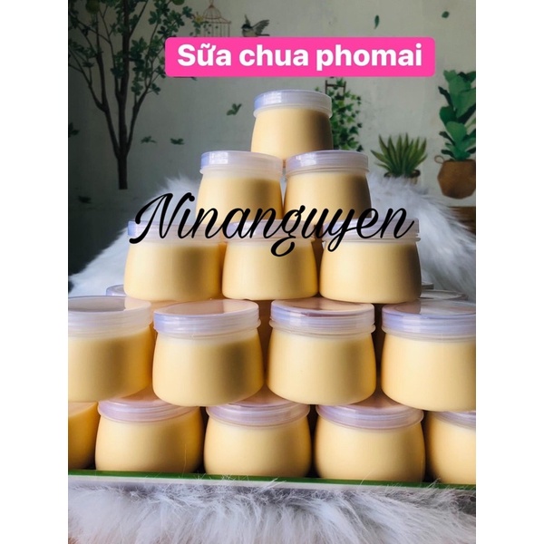 100 hũ sữa chua 100ml