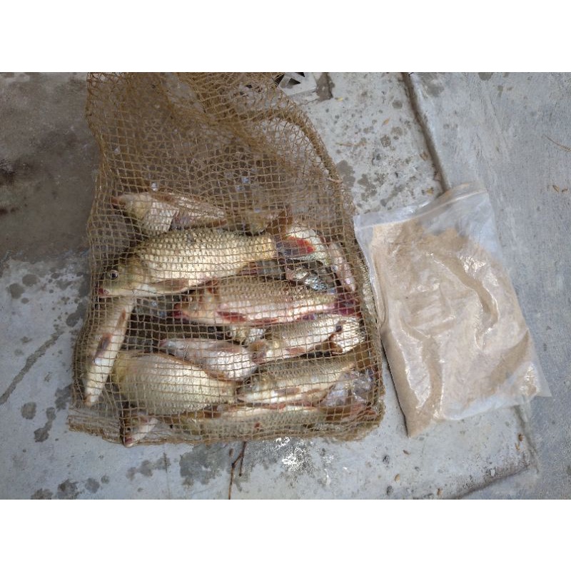 300gam mồi câu  diếc, chép siêu nhạy , công thức riêng.