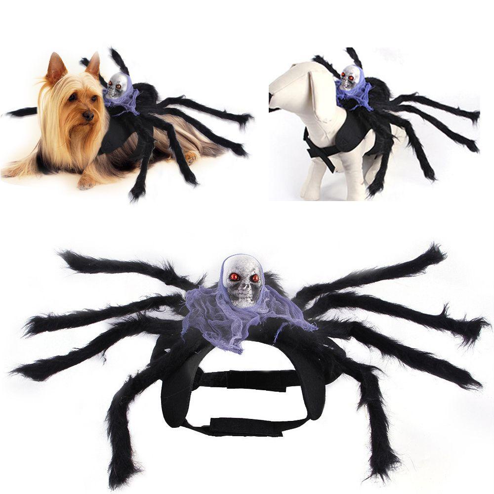 (MớI) Bộ QuầN ÁO NhệN HìNh ĐầU Lâu Cho Thú Cưng