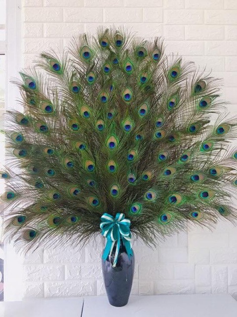 Combo 30 cành lông công 100cm loại mắt vừa | BigBuy360 - bigbuy360.vn