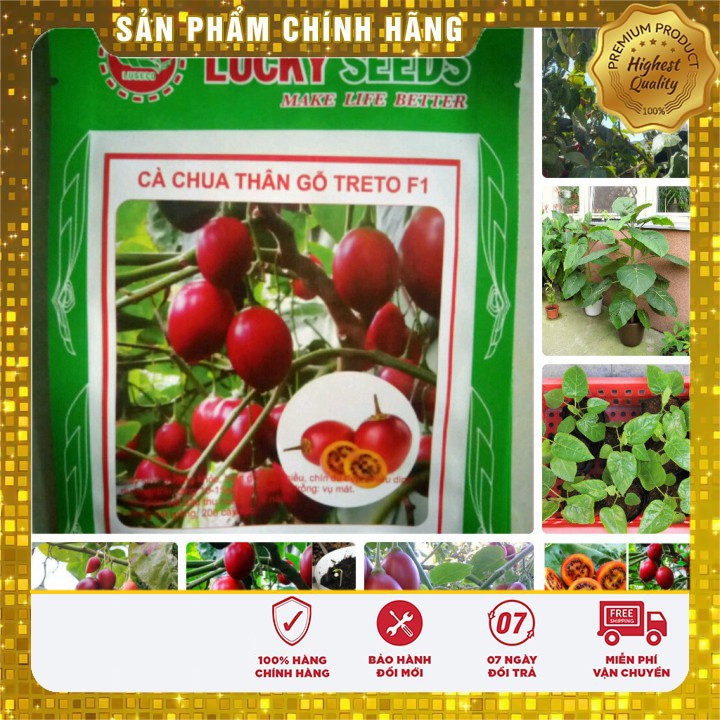 Hạt giống cà chua thân gỗ Tamarillo gói 04 hạt