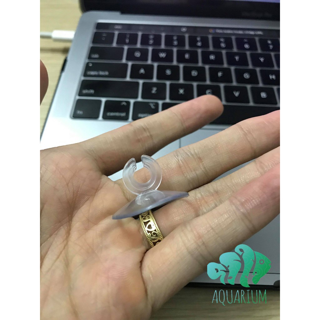 [Mã PET50K giảm Giảm 10% - Tối đa 50K đơn từ 250K] Hít kính giữ dây sủi