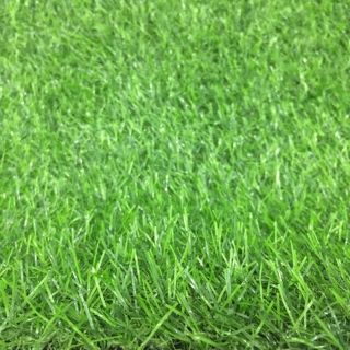 Thảm Cỏ Nhân Tạo Sợi Kim 2cm