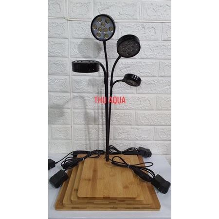 Đèn LED đế gỗ BAMBO-Đèn thuỷ sinh-Đèn tiểu cảnh