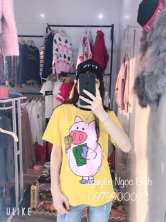 [Xả hàng] Áo phông Quảng Châu lợn vàng