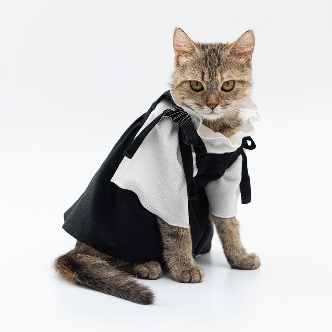 Váy yếm hàng hiệu bánh bèo cho thú cưng - SaboCoco - Momo dress