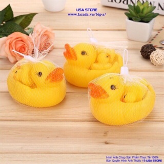 Set vịt mẹ và vịt con