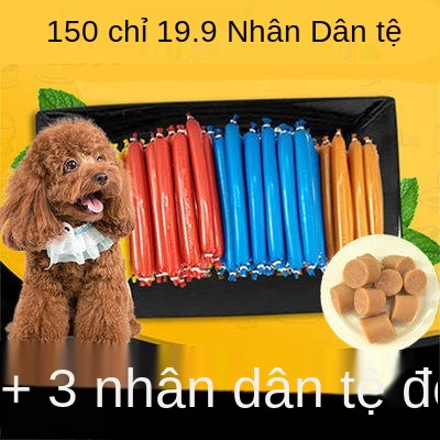 Hồng Kông Pet Dog Snack Ham Xúc xích Bán buôn Full Box Pet Canxi Cat Snack Gói quà Teddy Gold Fur Coin Dog