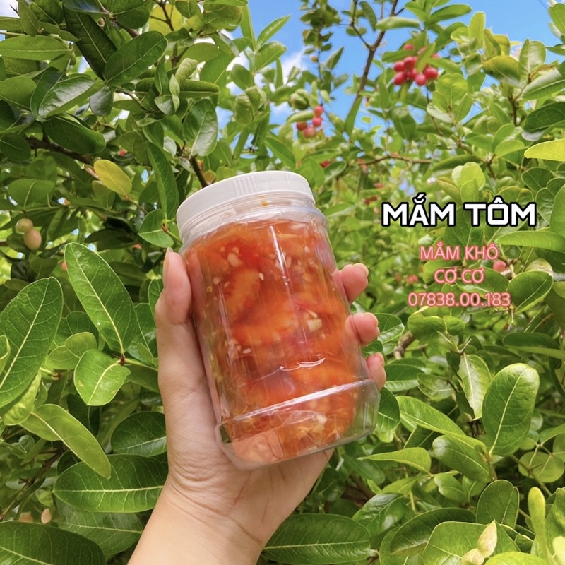Mắm Tôm Chua Đặc Sản Châu Đốc An Giang Hũ 500g, Mắm Nêm Nhà Làm Siêu Thơm Ngon Chuẩn Vị, Mắm Cá Cơ Cơ
