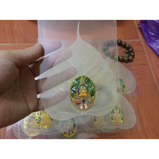 Lá bồ đề ép hàng nội địa Ấn Độ